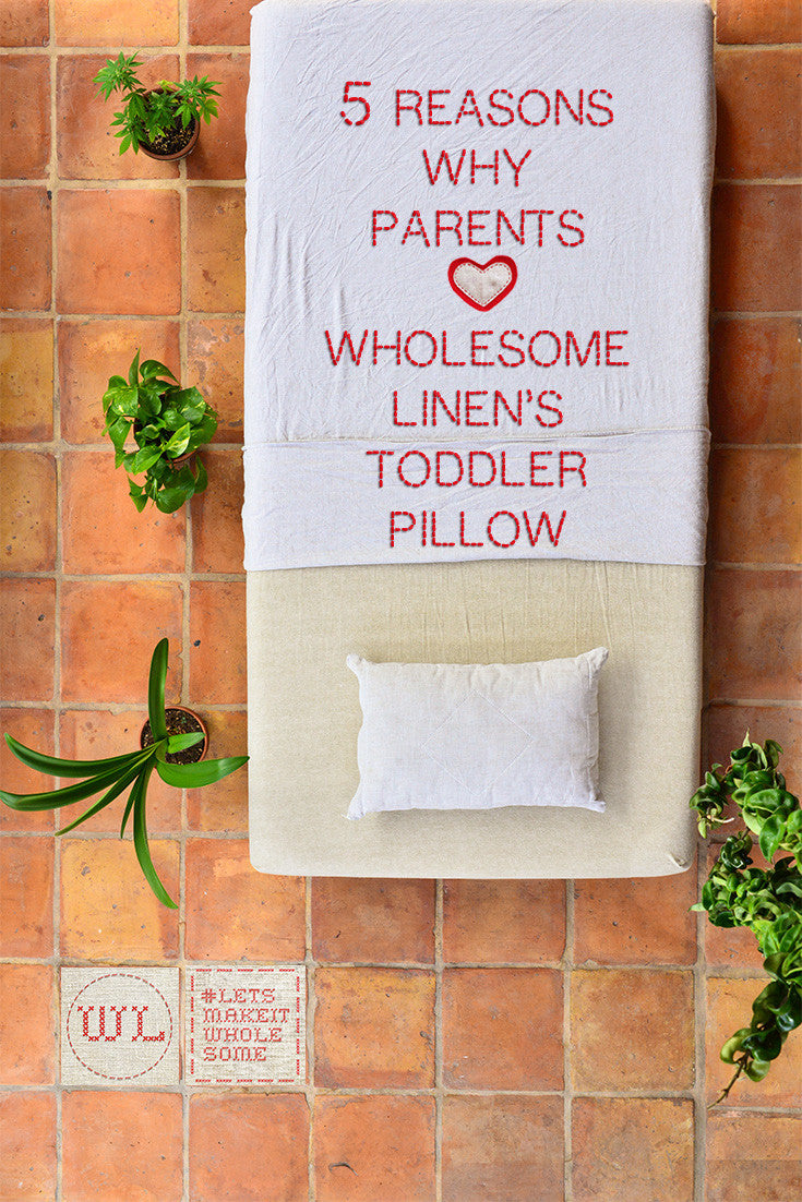 5 Reasons Why Parents Love Wholesome Linen Toddler Pillow