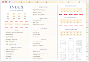 Wholesome Linen Ultimate Pregnancy Planner | Digital Maternity & Baby Organizer | Comprehensive & Hyperlinked PDF - Wholesome Linen