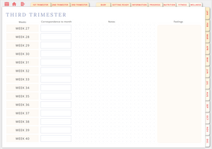 Wholesome Linen Ultimate Pregnancy Planner | Digital Maternity & Baby Organizer | Comprehensive & Hyperlinked PDF - Wholesome Linen