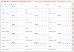 Wholesome Linen Ultimate Pregnancy Planner | Digital Maternity & Baby Organizer | Comprehensive & Hyperlinked PDF - Wholesome Linen